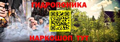 крисы Севастополь