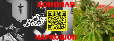 крисы Севастополь