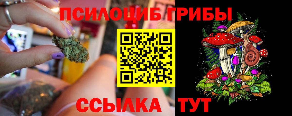Галлюциногенные грибы Magic Shrooms  Галлюциногенные грибы Psilocybe  Вход с VPN  Оренбург 